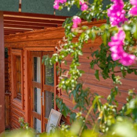 Felicity Hotel & Bungalows Kemer Eksteriør bilde
