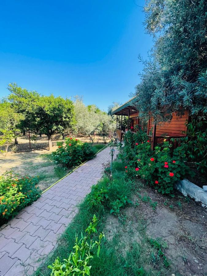 Felicity Hotel & Bungalows Kemer Eksteriør bilde