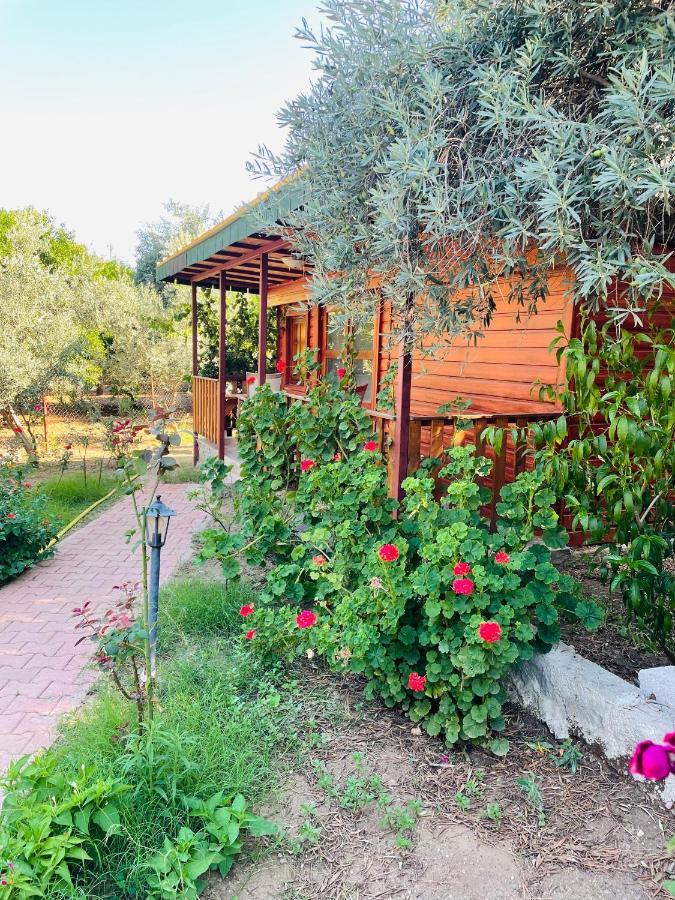 Felicity Hotel & Bungalows Kemer Eksteriør bilde