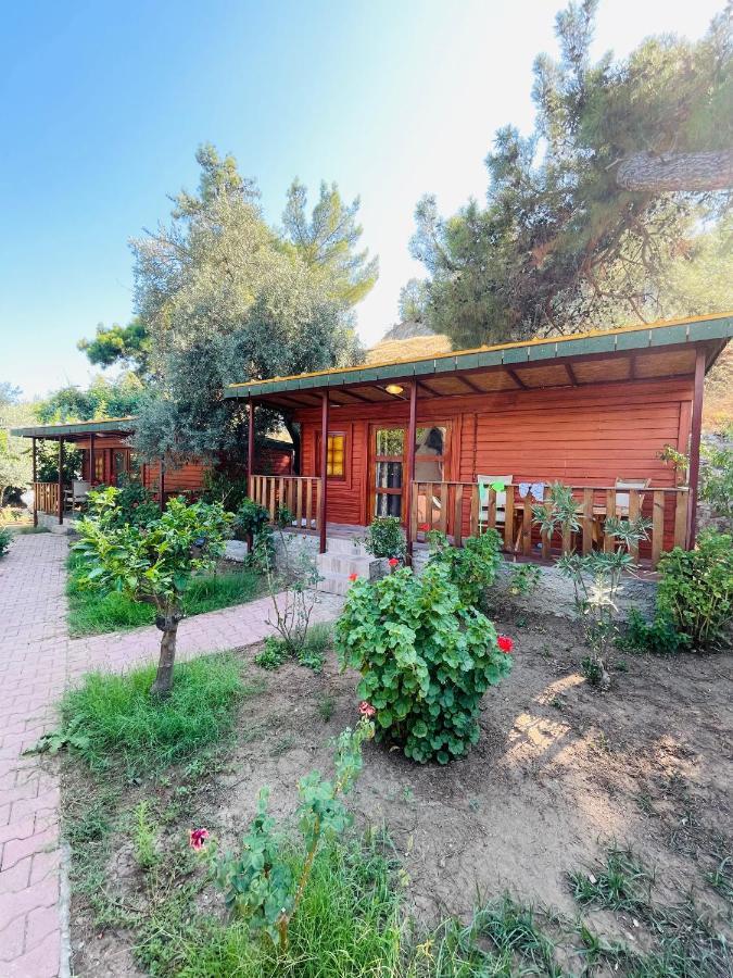 Felicity Hotel & Bungalows Kemer Eksteriør bilde