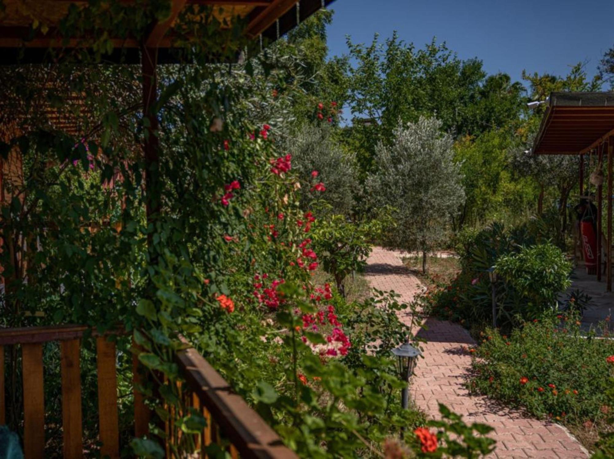 Felicity Hotel & Bungalows Kemer Eksteriør bilde