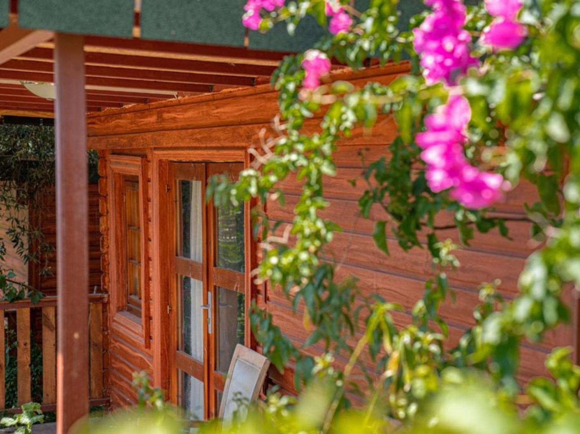 Felicity Hotel & Bungalows Kemer Eksteriør bilde