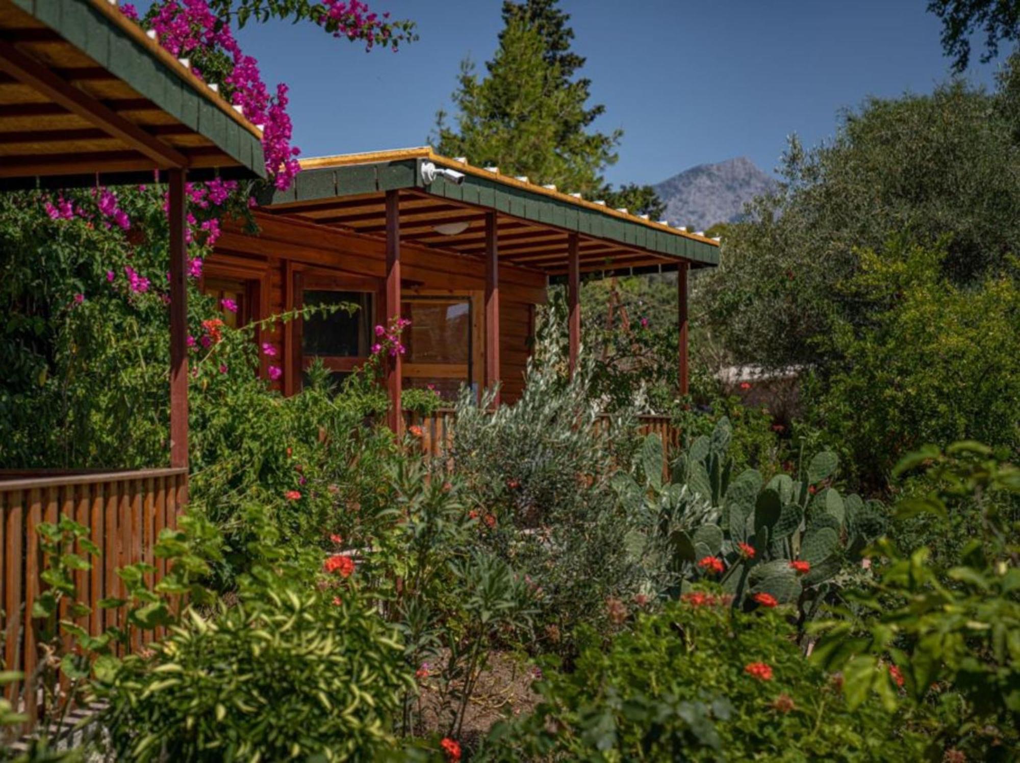 Felicity Hotel & Bungalows Kemer Eksteriør bilde